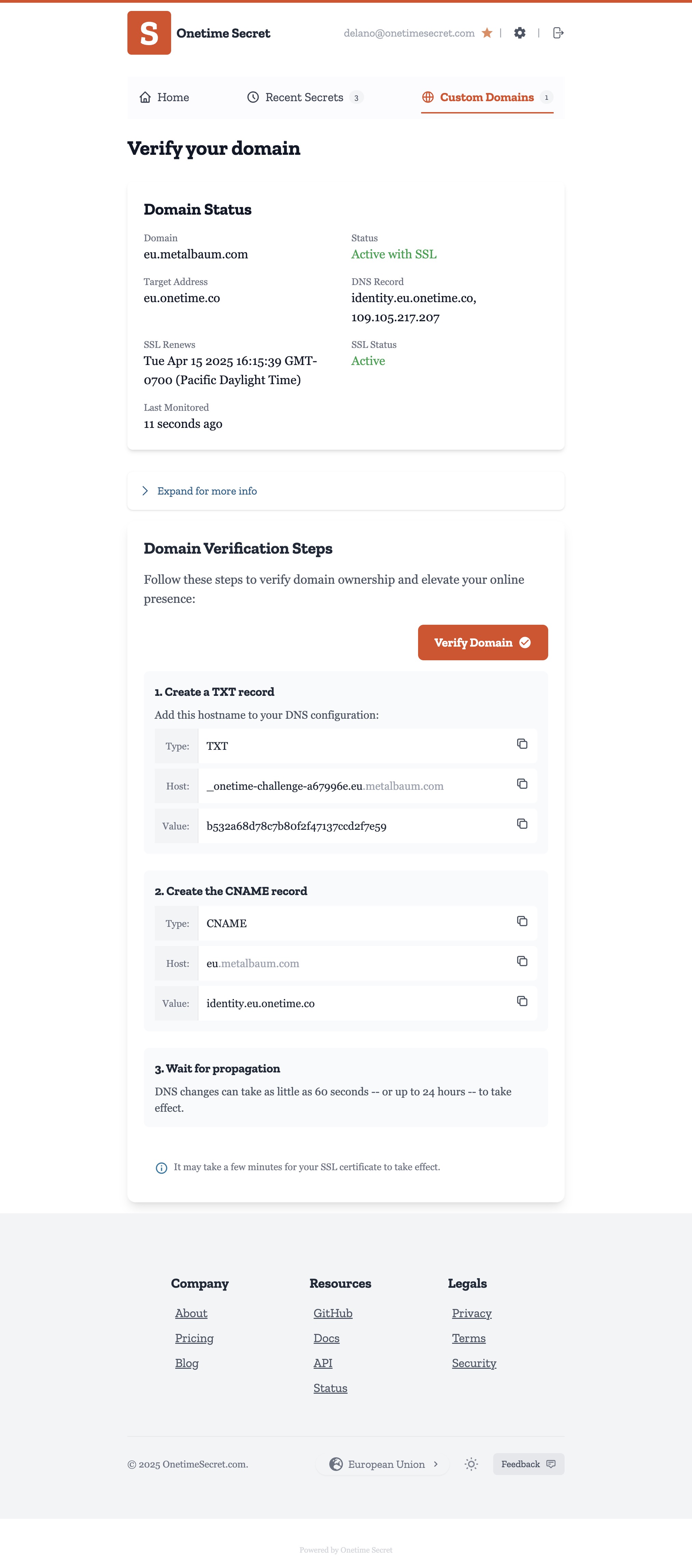 Custom domain settings